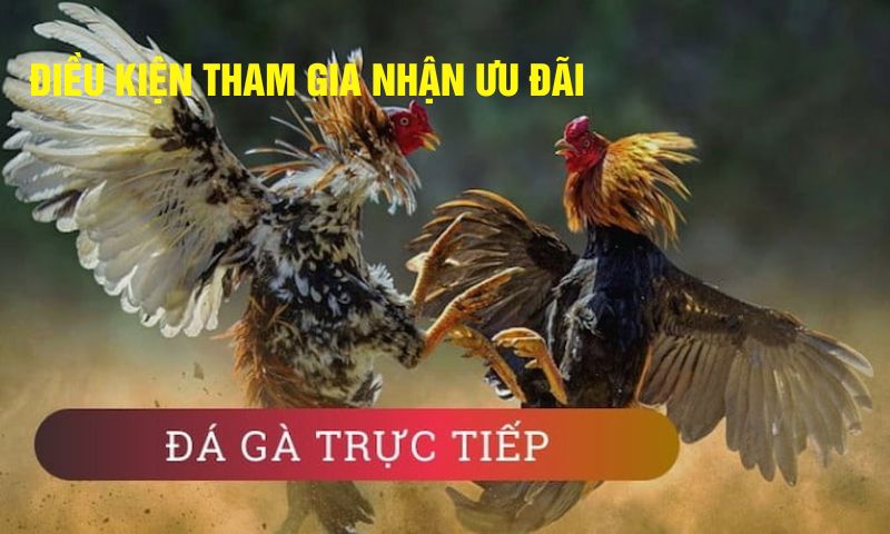 Các quy định cụ thể khi nhận khuyến mãi trên SV388