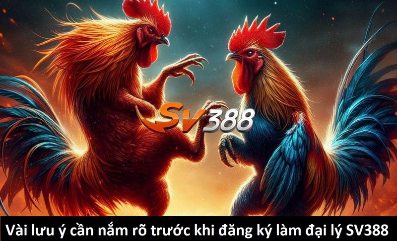 Lưu ý quan trọng cần biết khi đăng ký làm đại lý