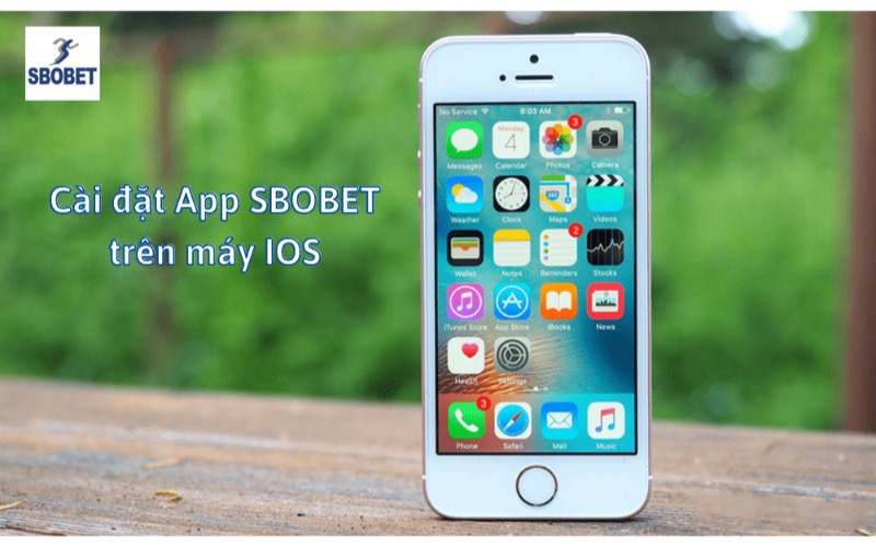 App Sbobet giúp thành viên tương tác với nhà cái tốt hơn 